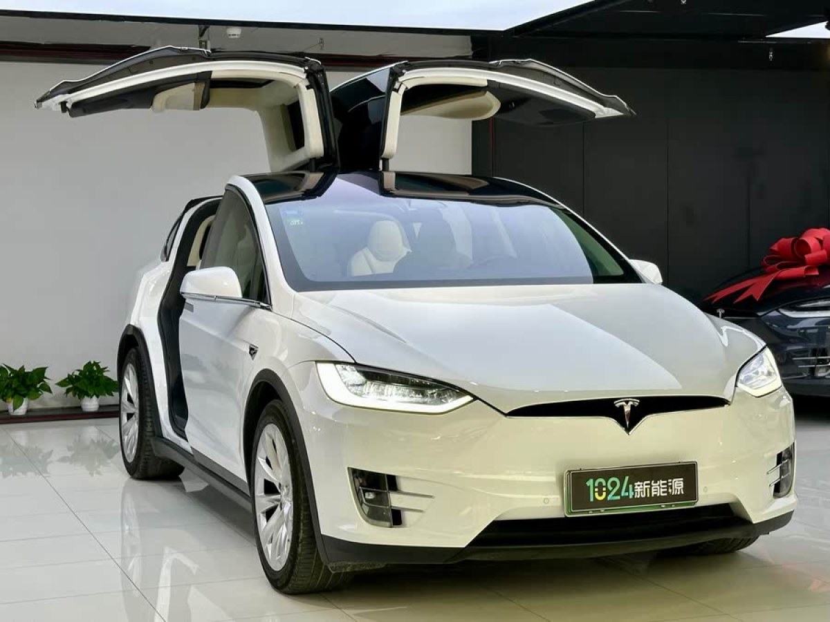 特斯拉 Model X  2017款 Model X 100D 長續(xù)航版圖片