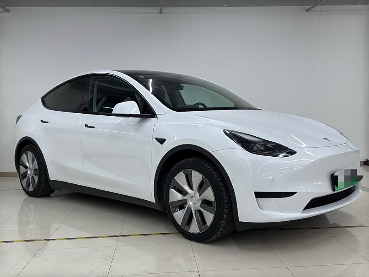 特斯拉 Model 3  2022款 后輪驅(qū)動(dòng)版圖片