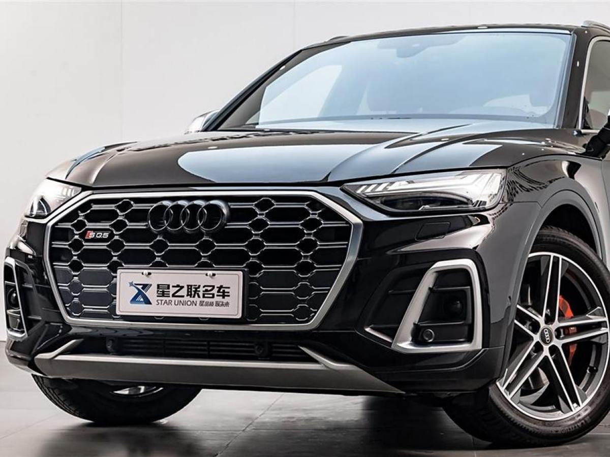 奧迪 奧迪SQ5  2014款 SQ5 3.0 TFSI quattro圖片