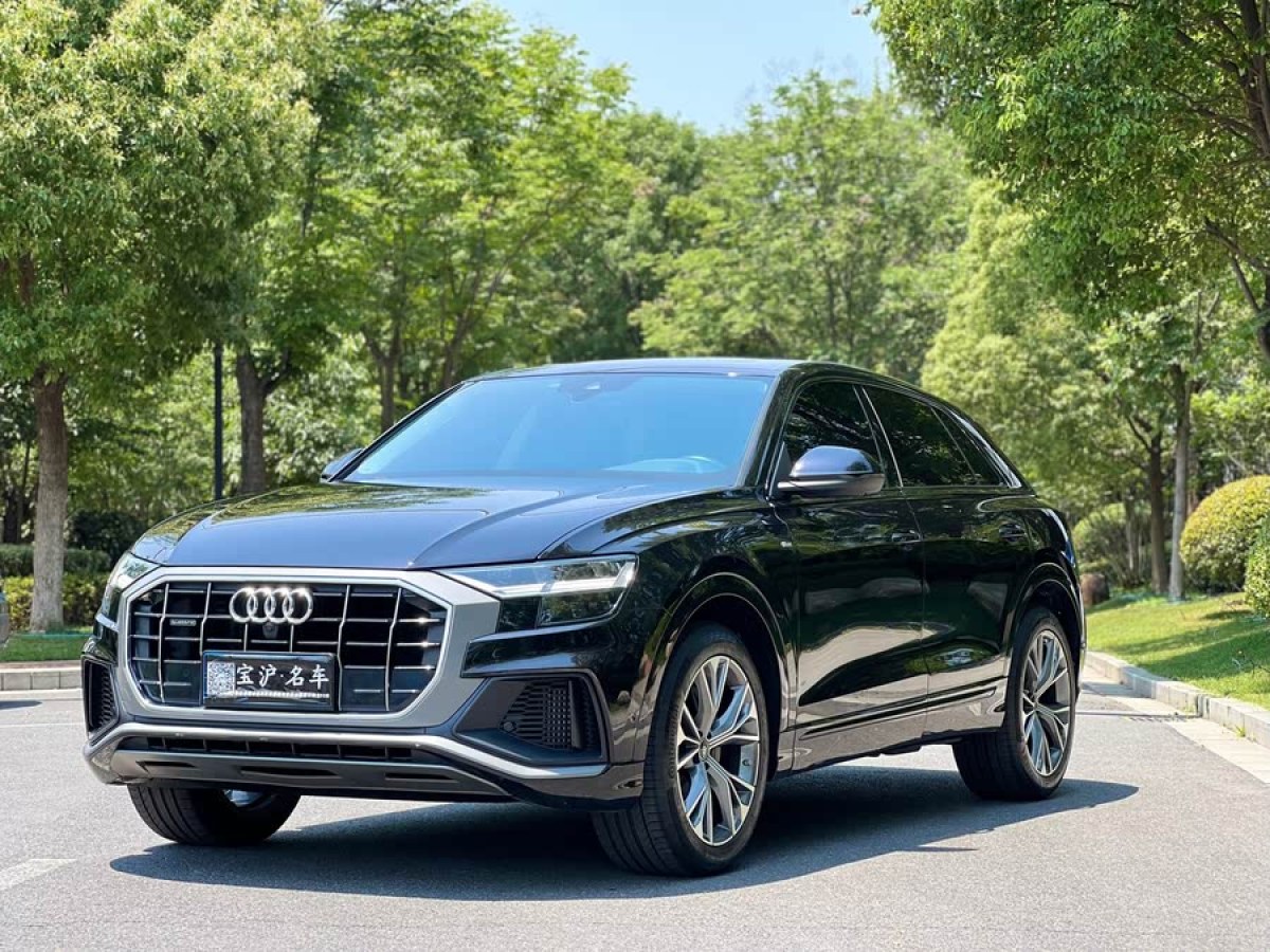 奧迪 奧迪Q8  2021款 55 TFSI 豪華動(dòng)感型圖片