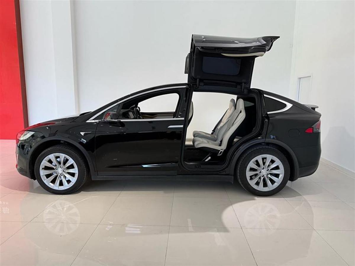 特斯拉 Model X  2019款 標(biāo)準(zhǔn)續(xù)航版圖片