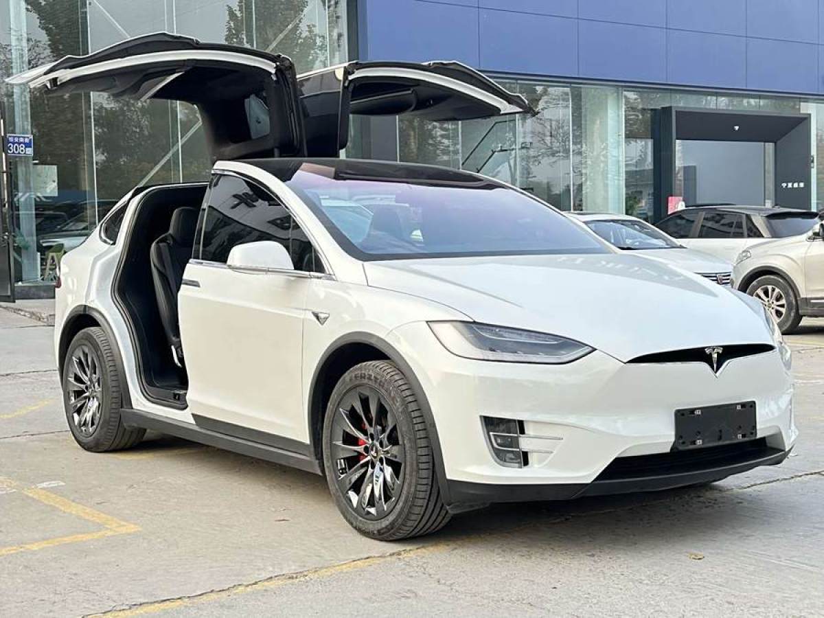 特斯拉 Model X  2019款 標(biāo)準(zhǔn)續(xù)航版圖片