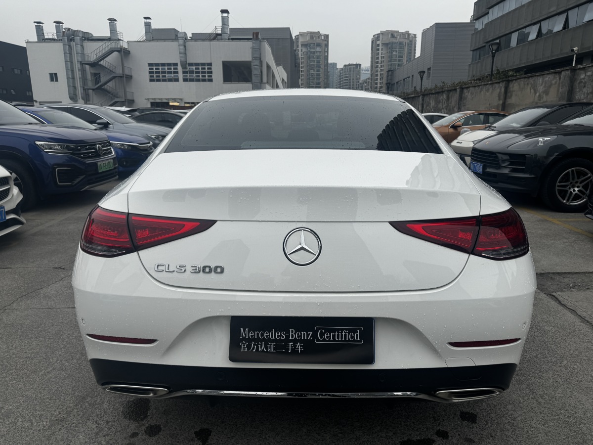 奔馳 奔馳CLS級(jí)  2020款 CLS 300 動(dòng)感型圖片