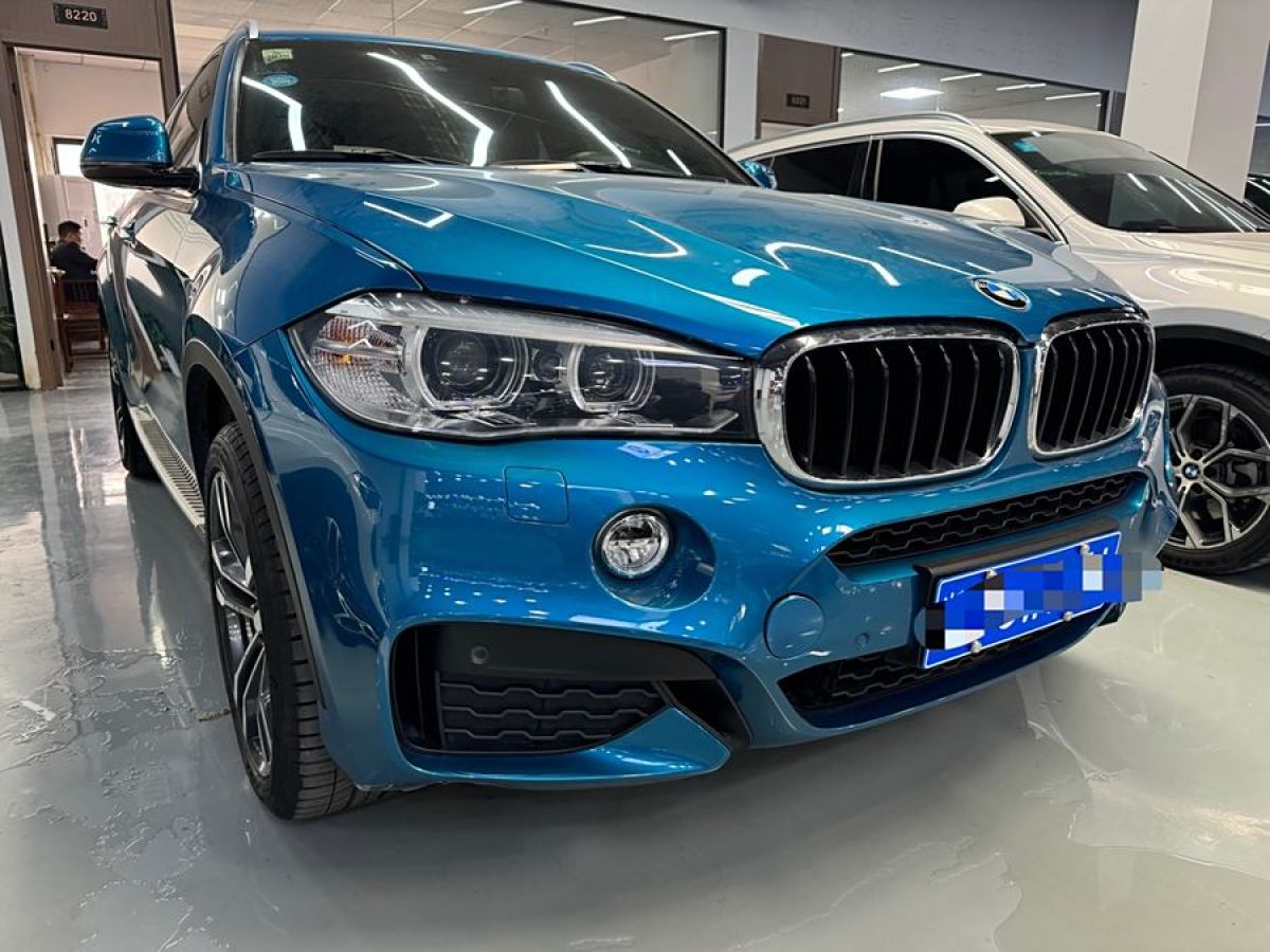 寶馬 寶馬X6  2018款 xDrive35i 領先型圖片