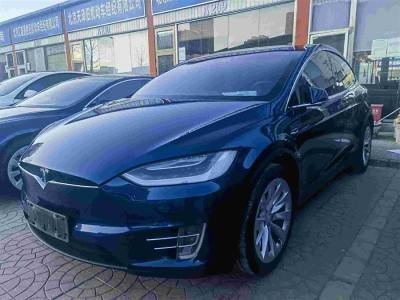 2017年4月 特斯拉 Model X Model X 75D圖片