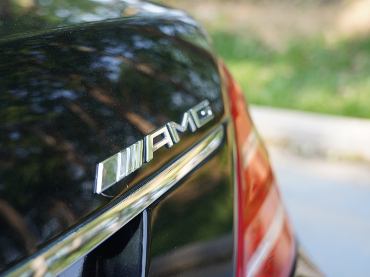 奔驰 奔驰S级AMG  2010款 AMG S 65图片