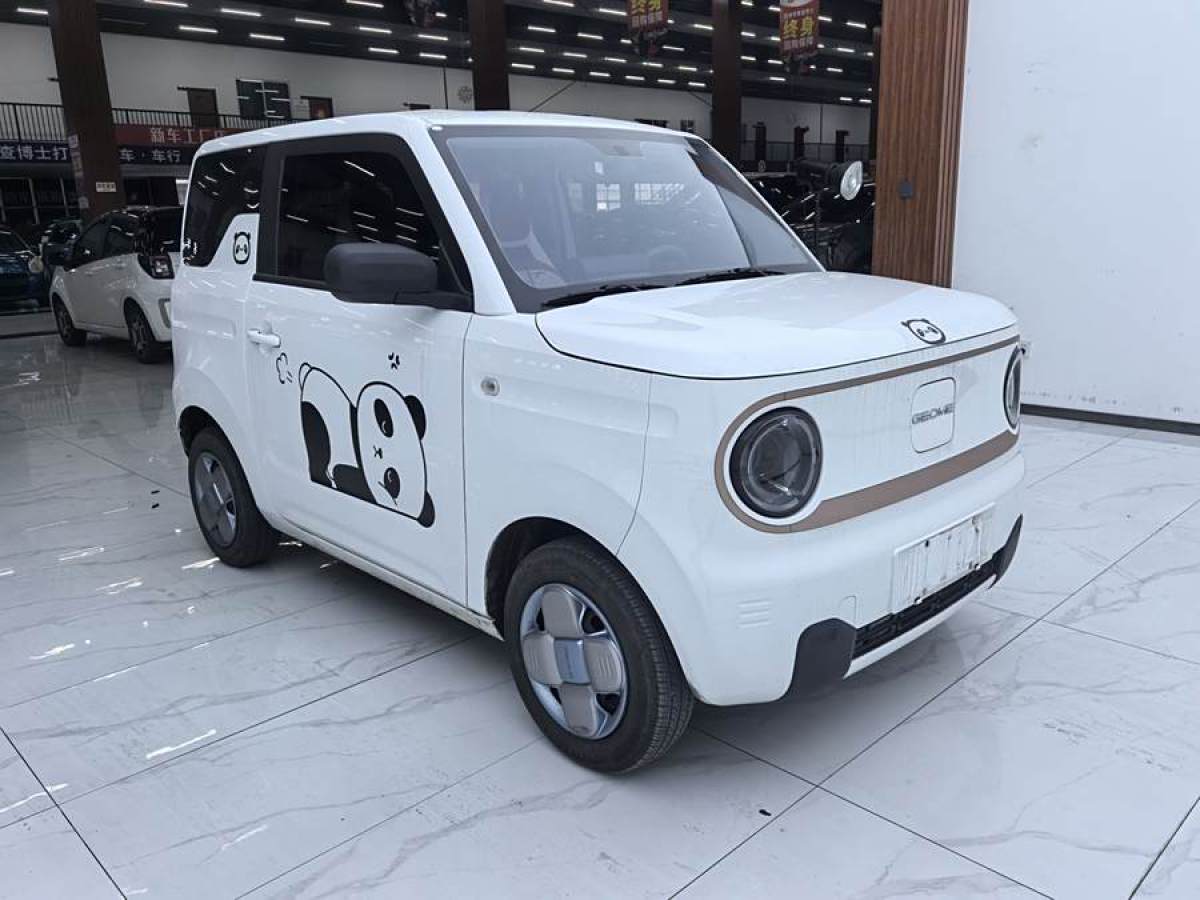 2023年11月吉利 熊貓mini  2024款 200km 熊貓騎士