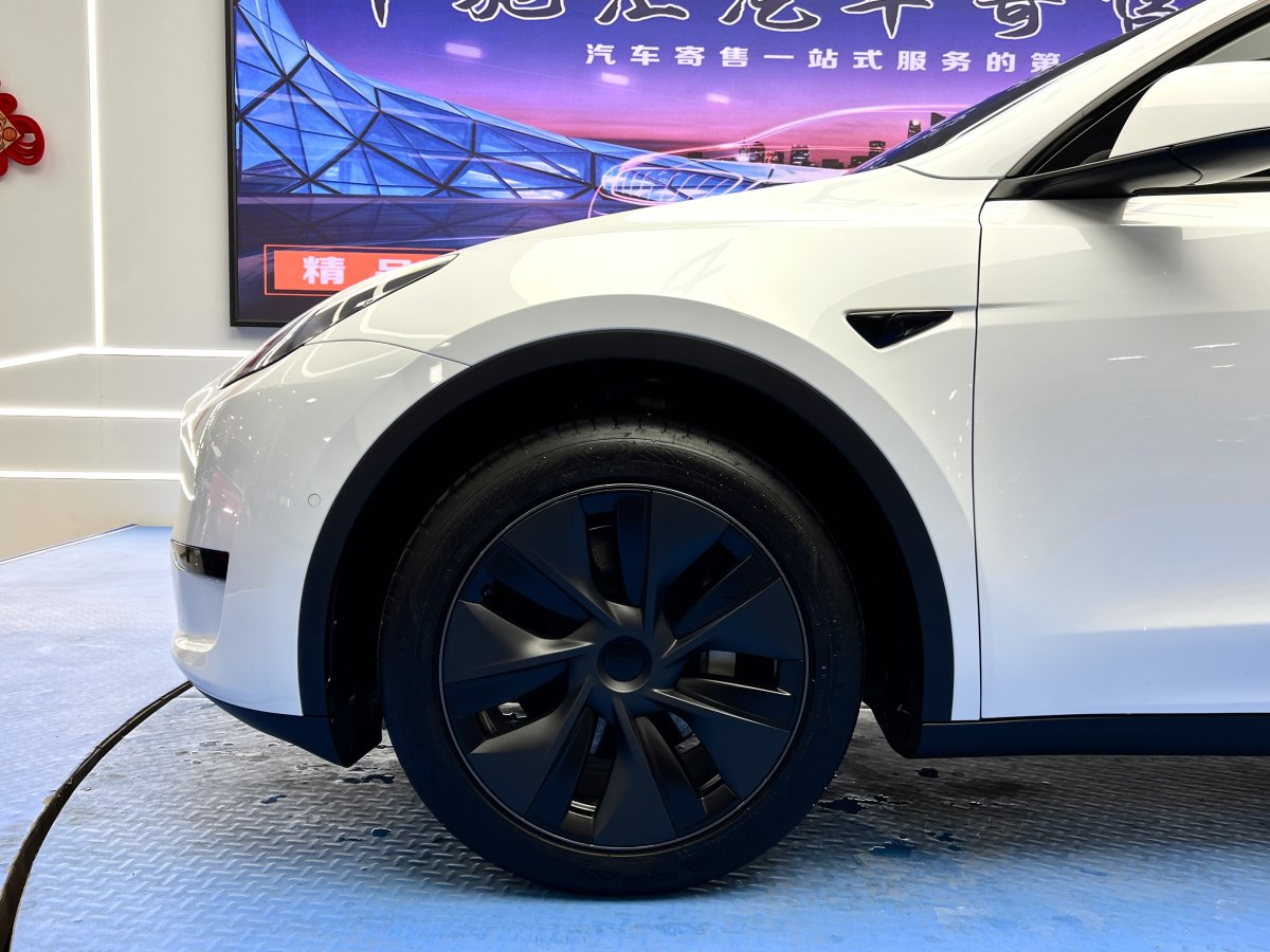 特斯拉 Model 3  2023款 煥新版 后輪驅(qū)動圖片