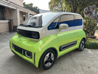 2021年10月 寶駿 寶駿KiWi EV 藝術(shù)家 三元鋰圖片