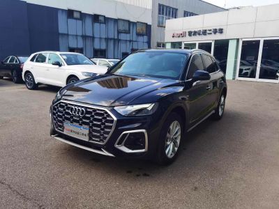 2022年1月 奥迪 奥迪Q5 e-tron 40 e-tron 星耀型 机甲套装图片