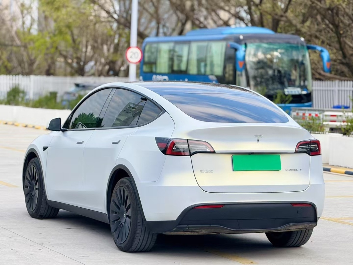 特斯拉 Model Y  2021款 標(biāo)準(zhǔn)續(xù)航后驅(qū)版圖片