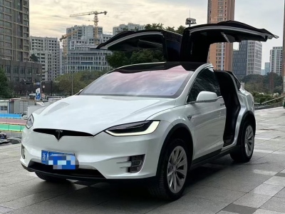 2017年10月 特斯拉 Model X Model X 100D 長(zhǎng)續(xù)航版圖片