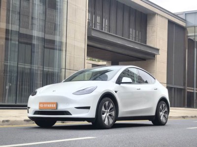 2021年8月 特斯拉 Model Y 標準續(xù)航后驅版圖片