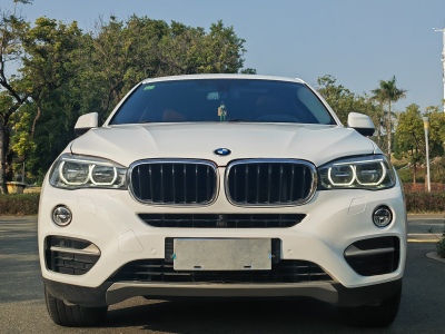 2021年1月 宝马 宝马X6(进口) xDrive35i 豪华型图片