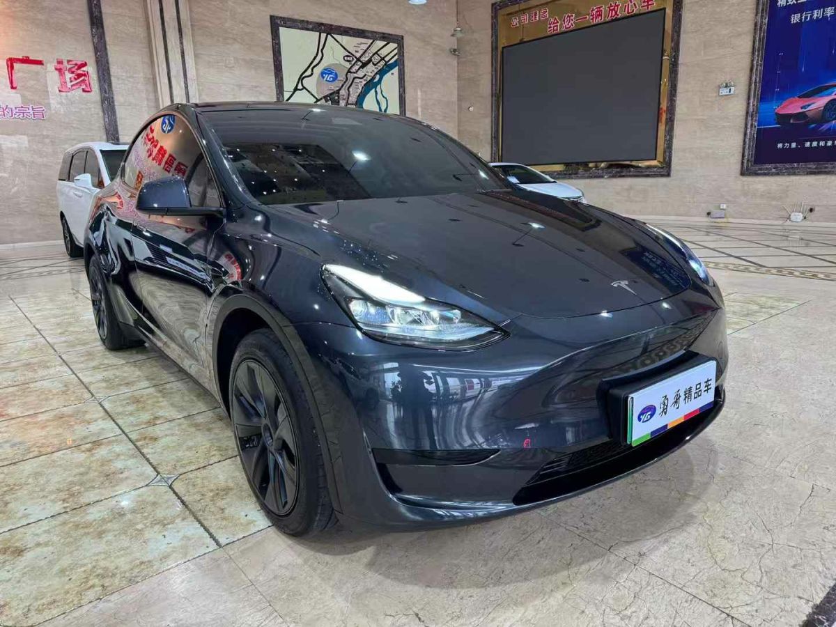特斯拉 Model Y  2024款 Performance高性能版圖片