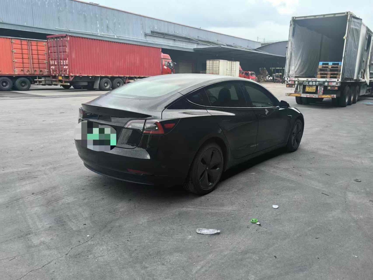 特斯拉 Model Y  2020款 改款 標準續(xù)航后驅升級版圖片