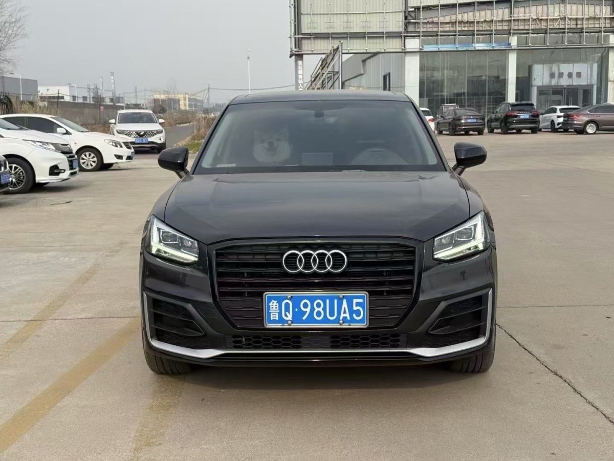 奧迪 奧迪Q2L  2018款  35TFSI 上市專享版 國VI圖片