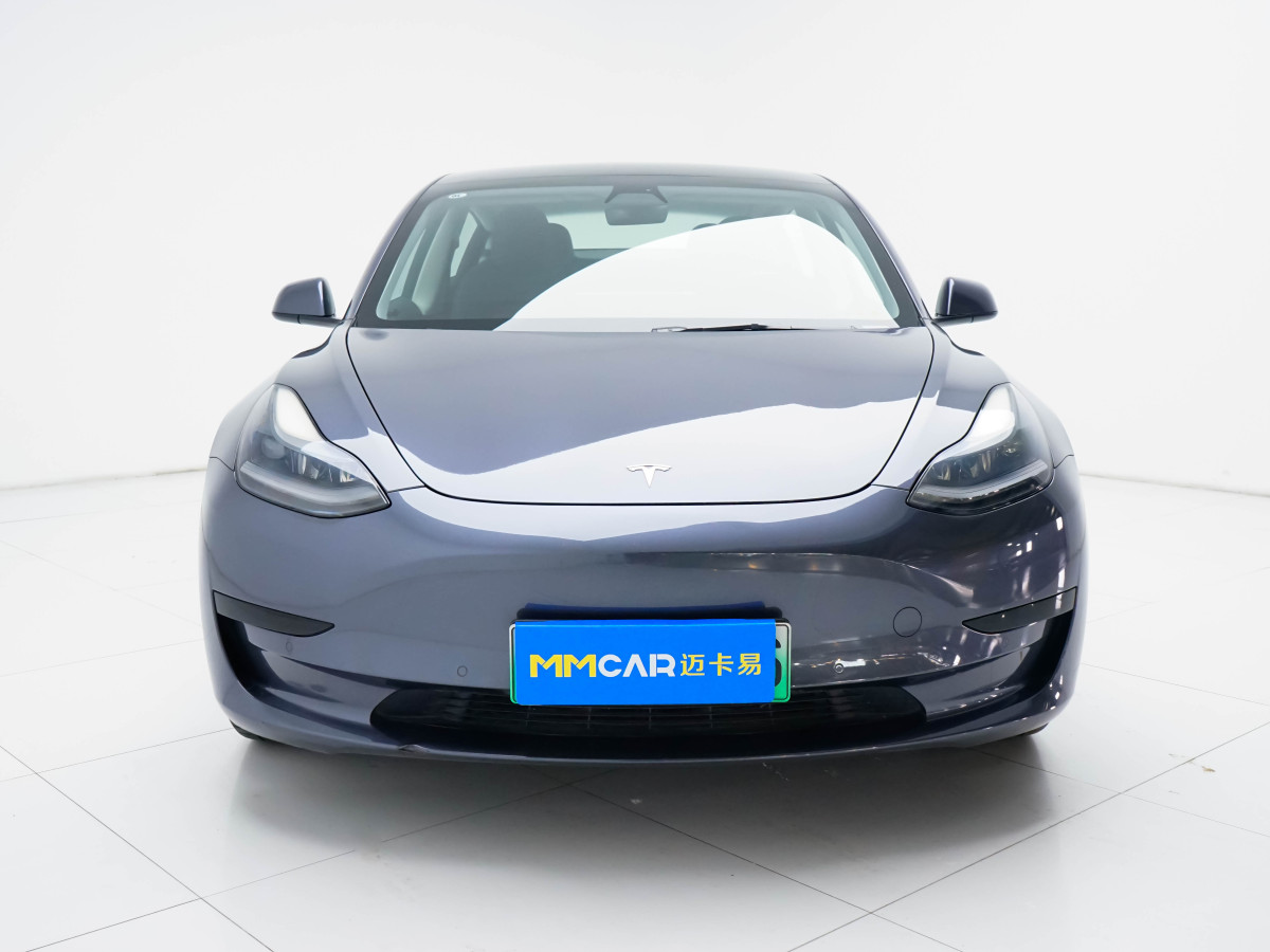 2021年4月特斯拉 Model 3  2021款 改款 標(biāo)準(zhǔn)續(xù)航后驅(qū)升級(jí)版