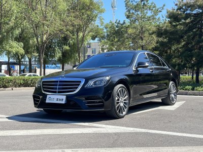 奔驰 奔驰S级(进口) S 450 L 4MATIC 卓越特别版图片