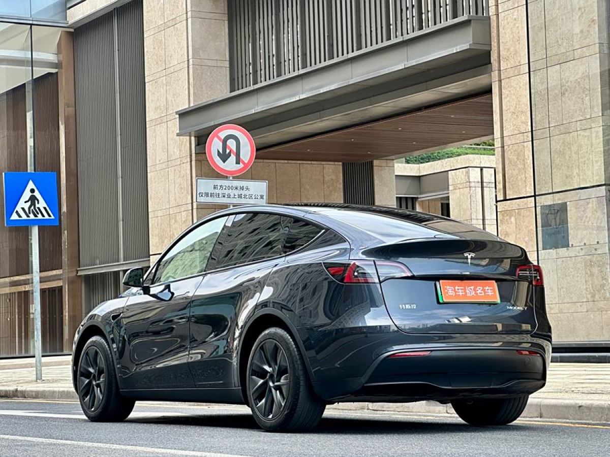 特斯拉 Model Y  2020款 改款 長續(xù)航后輪驅(qū)動(dòng)版圖片