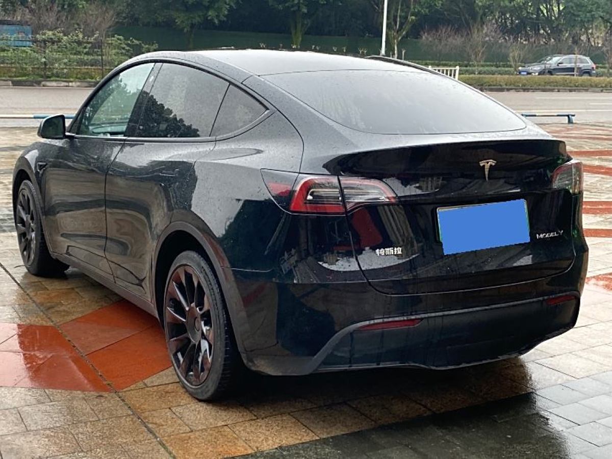 特斯拉 Model Y  2022款 改款 長續(xù)航全輪驅(qū)動(dòng)版圖片