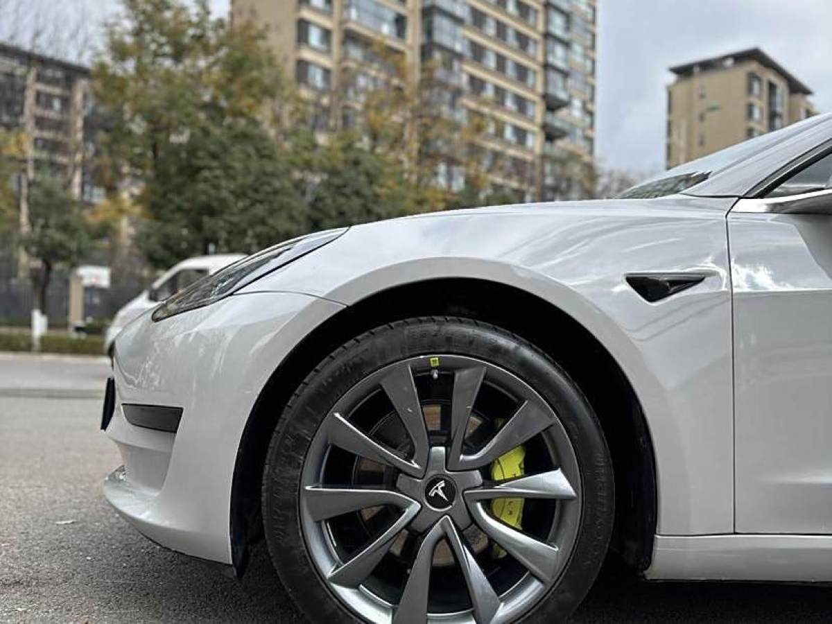 特斯拉 Model 3  2019款 標(biāo)準(zhǔn)續(xù)航后驅(qū)升級(jí)版圖片