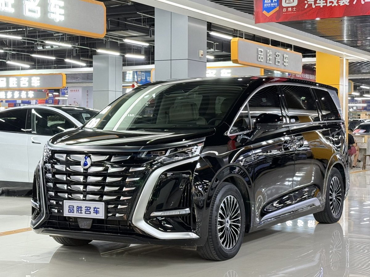 2024年3月騰勢 騰勢D9  2024款 DM-i 980 四驅尊榮型