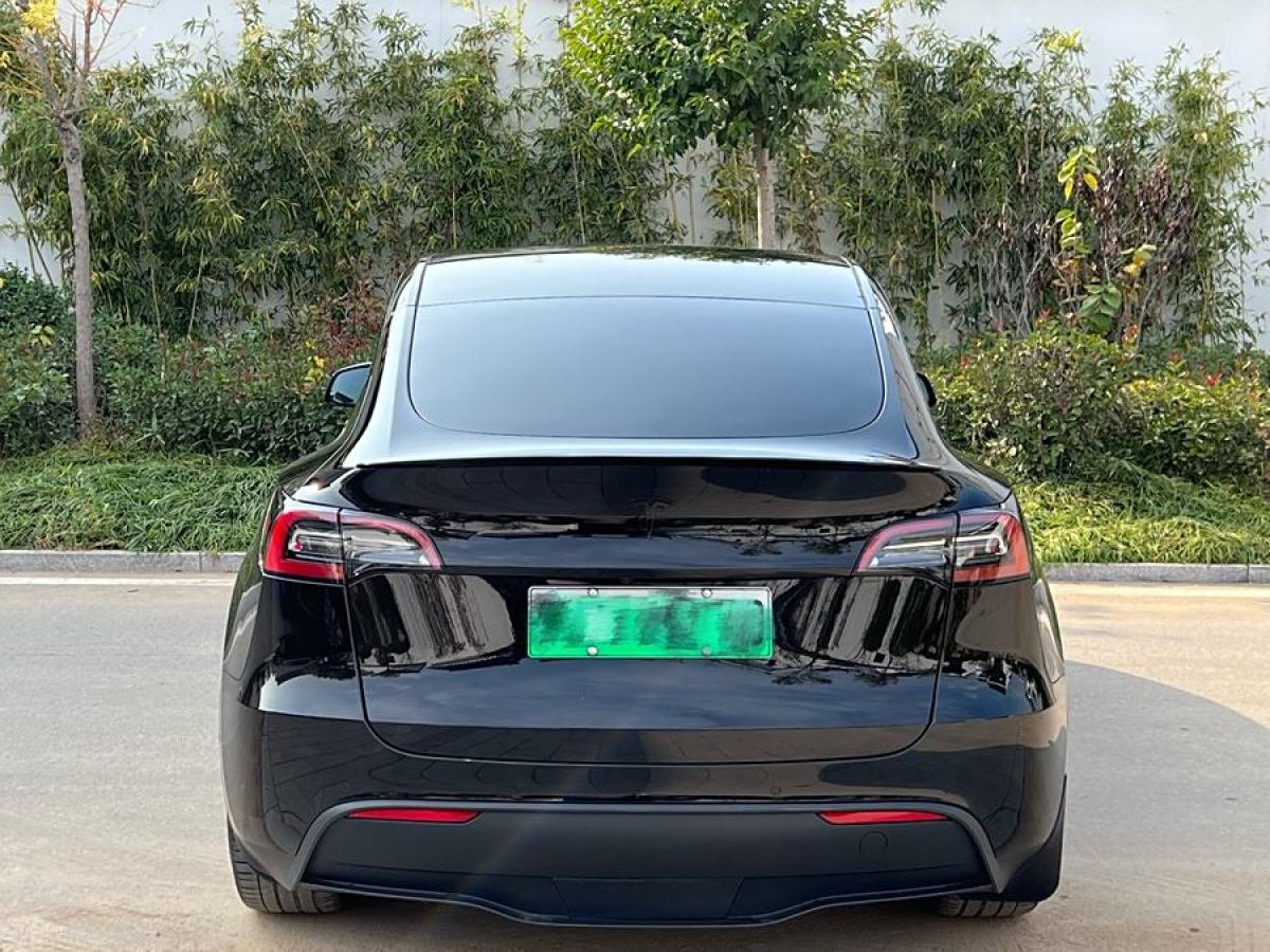 特斯拉 Model Y  2022款 后輪驅(qū)動(dòng)版圖片