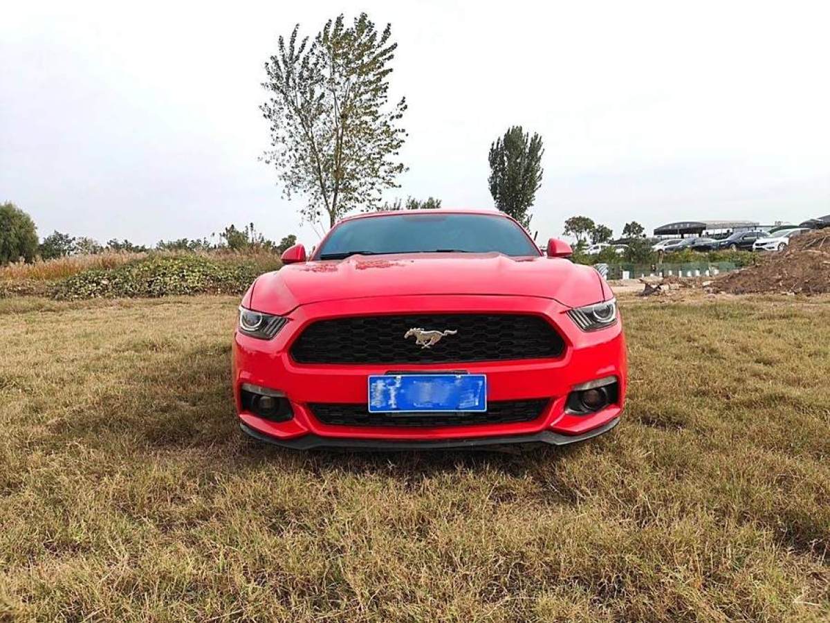 福特 Mustang  2015款 2.3T 性能版圖片