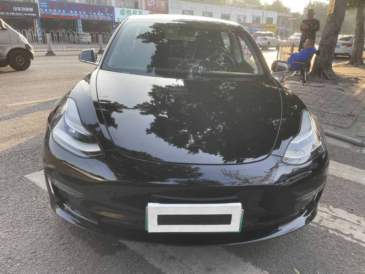 特斯拉 Model 3  2020款 改款 長(zhǎng)續(xù)航后輪驅(qū)動(dòng)版圖片