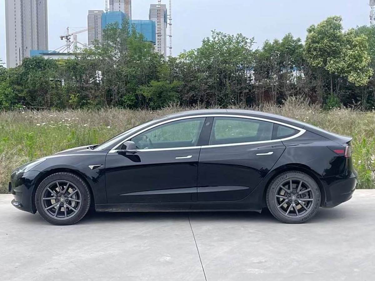 特斯拉 Model 3  2020款 改款 標(biāo)準(zhǔn)續(xù)航后驅(qū)升級(jí)版圖片