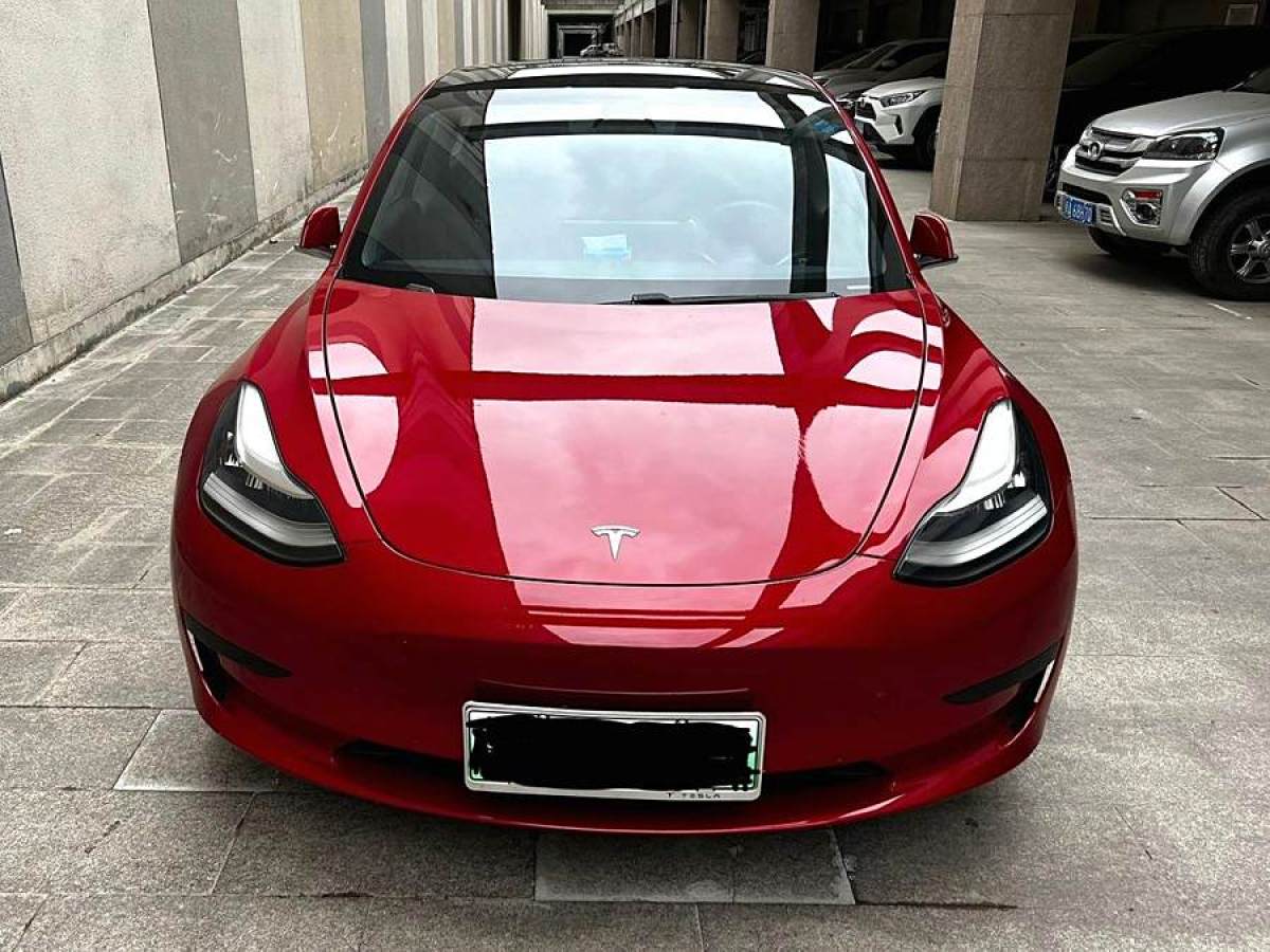 特斯拉 Model 3  2019款 標準續(xù)航后驅(qū)升級版圖片