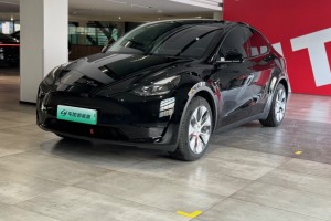 Model 3 特斯拉 改款 长续航后轮驱动版