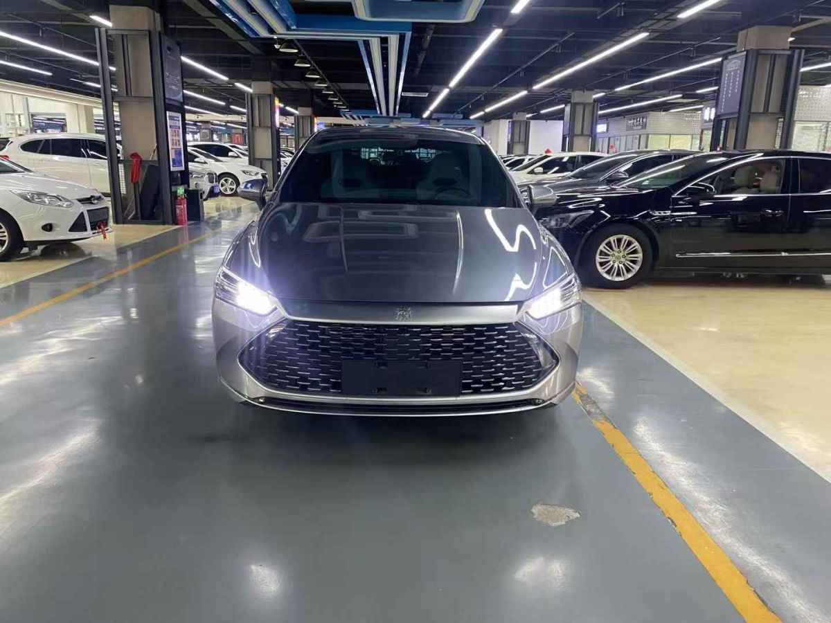 比亞迪 秦  2024款 出行版450圖片