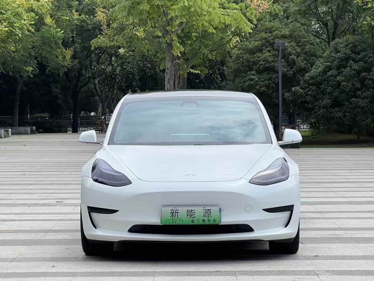 特斯拉 Model X  2020款 Performance 高性能版圖片