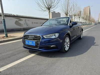 2015年4月 奧迪 奧迪A3(進口) Cabriolet 40 TFSI圖片