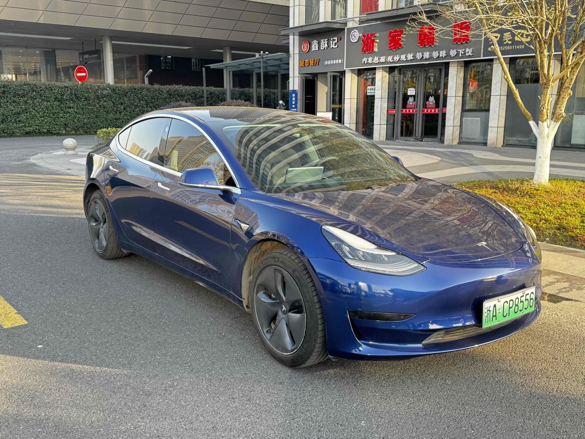 特斯拉 Model 3  2019款 標(biāo)準(zhǔn)續(xù)航后驅(qū)升級版圖片