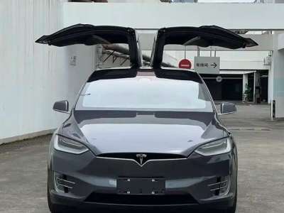 2017年5月 特斯拉 Model X Model X 75D圖片