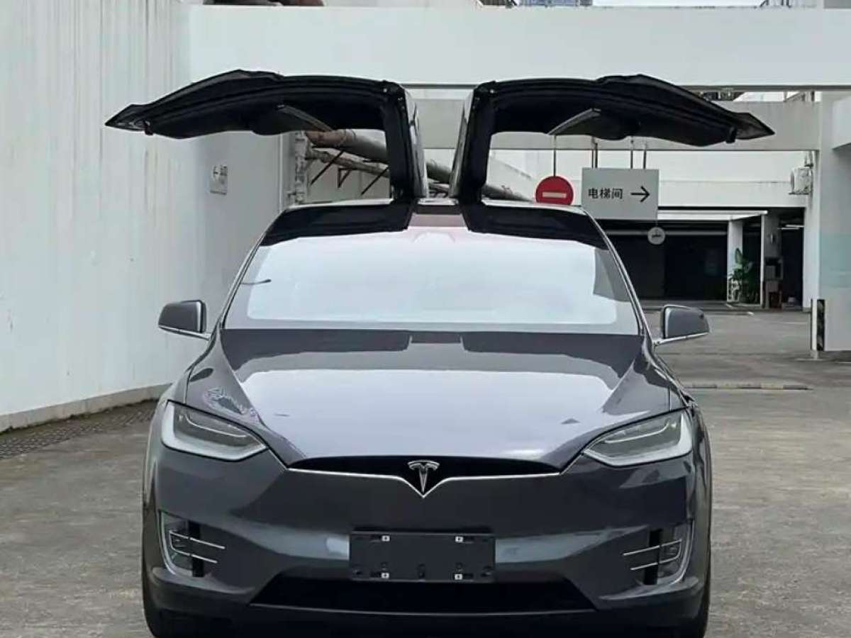 特斯拉 Model X  2016款 Model X 75D圖片