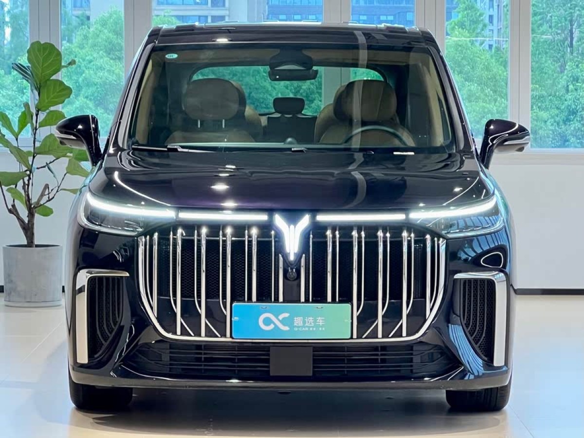 嵐圖 夢想家  2024款 PHEV 超長續(xù)航尊貴版圖片