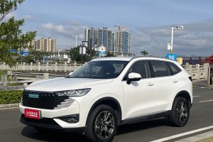 哈弗H6新能源 哈弗 DHT-PHEV 110KM 暢行版