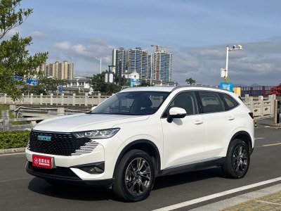 2022年10月 哈弗 哈弗H6新能源 DHT-PHEV 110KM 暢行版圖片