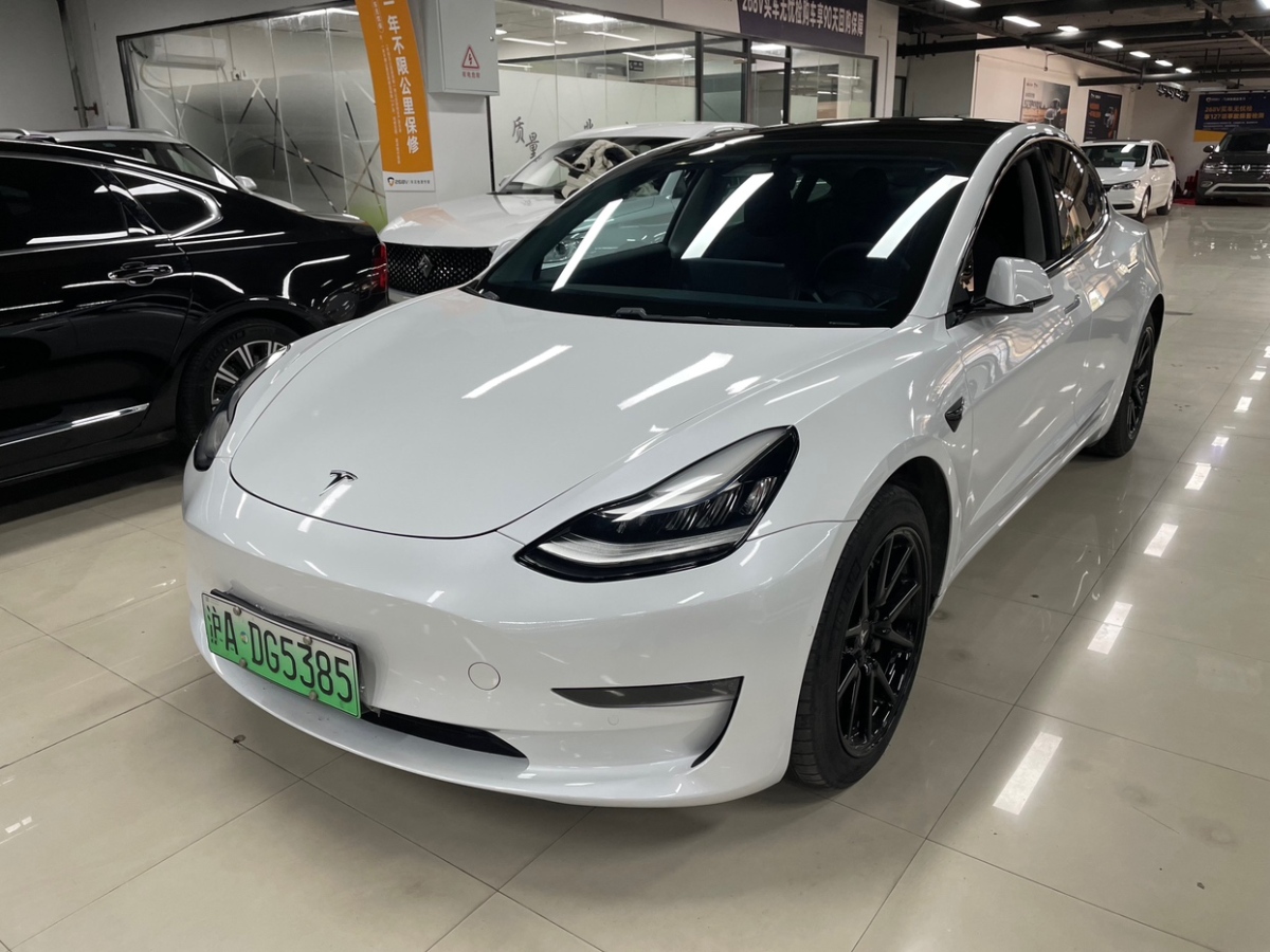 特斯拉 model 3  2019款 长续航后驱版图片