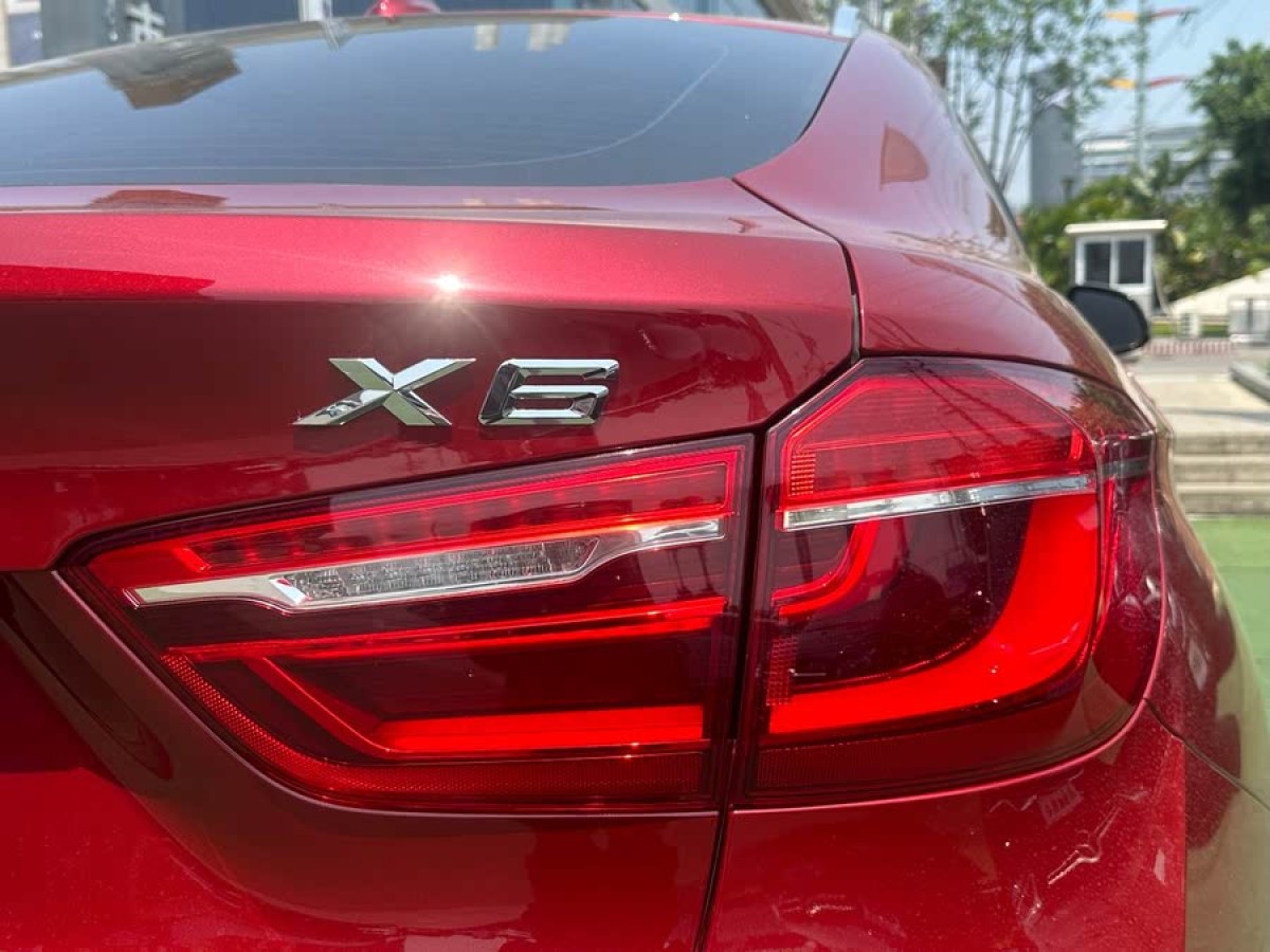 寶馬 寶馬X6  2017款 xDrive35i 領(lǐng)先型圖片