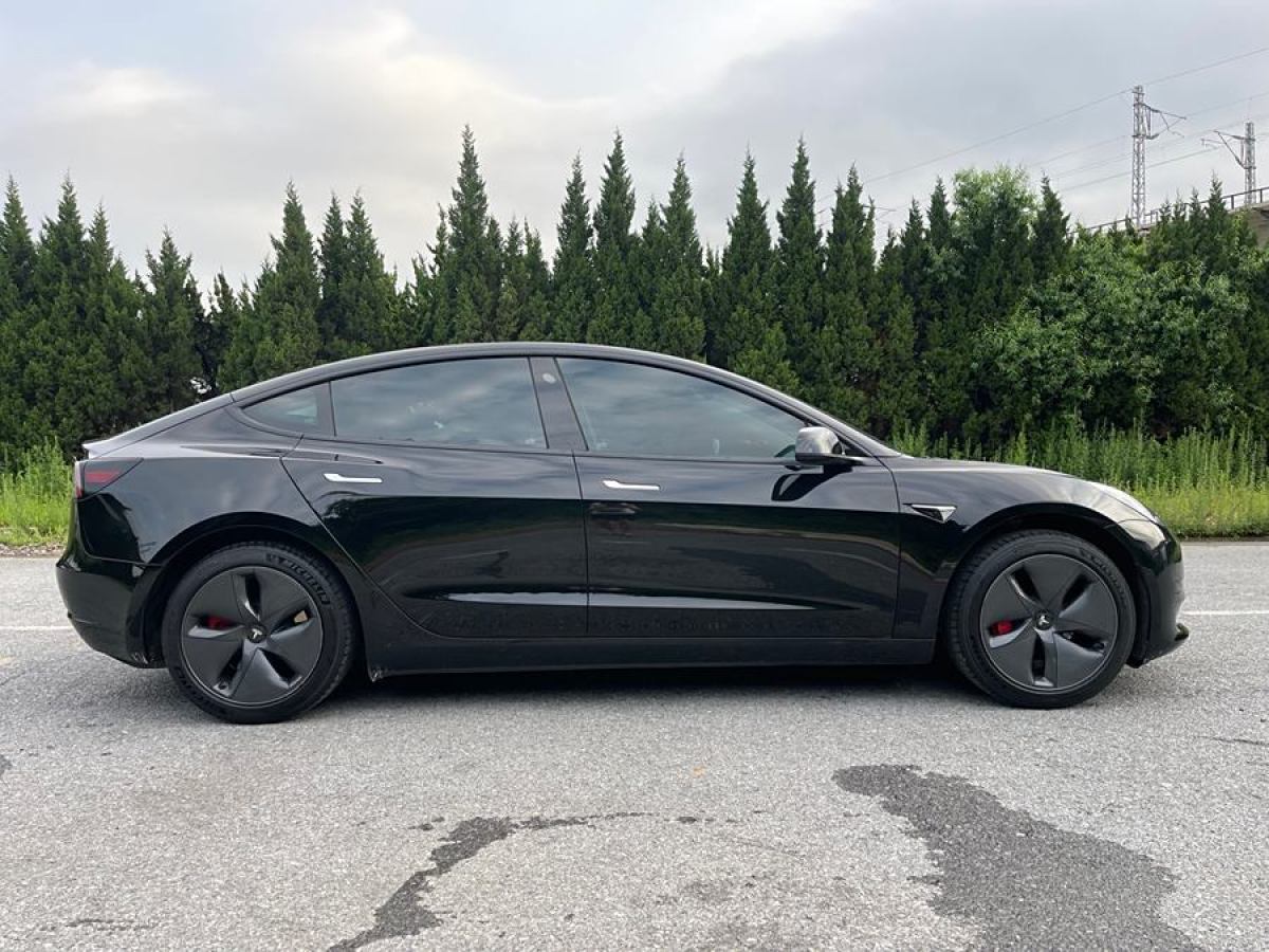 特斯拉 Model 3  2021款 標(biāo)準(zhǔn)續(xù)航后驅(qū)升級版 3D6圖片