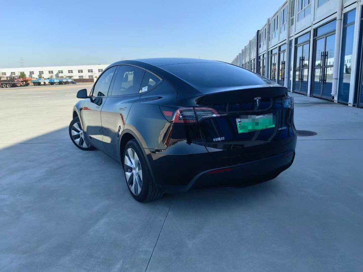 特斯拉 Model Y  2024款 Performance高性能版圖片