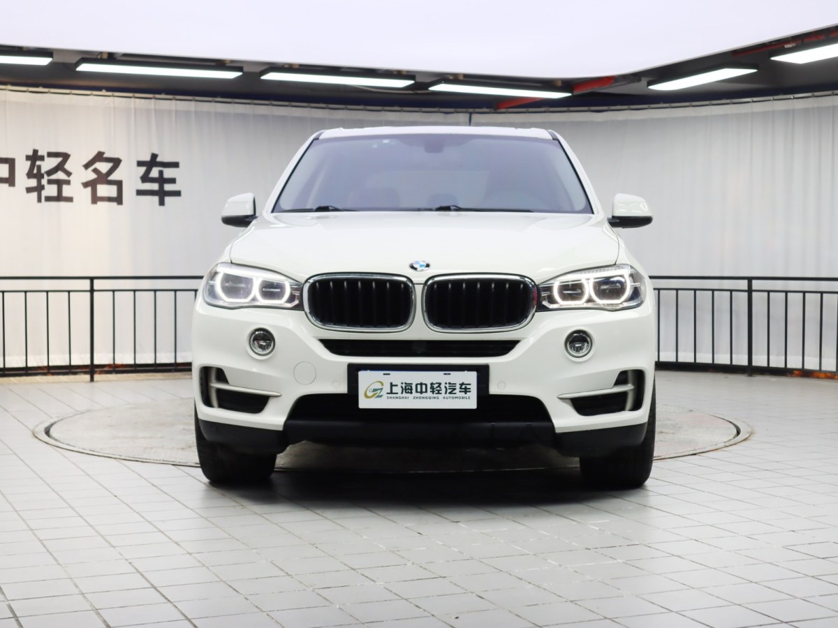 寶馬 寶馬X5  2014款 xDrive35i 領(lǐng)先型圖片