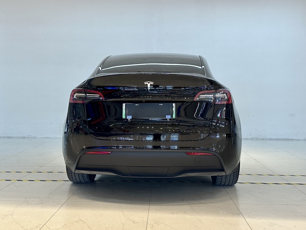 特斯拉 Model Y  2021款 標(biāo)準(zhǔn)續(xù)航后驅(qū)版圖片