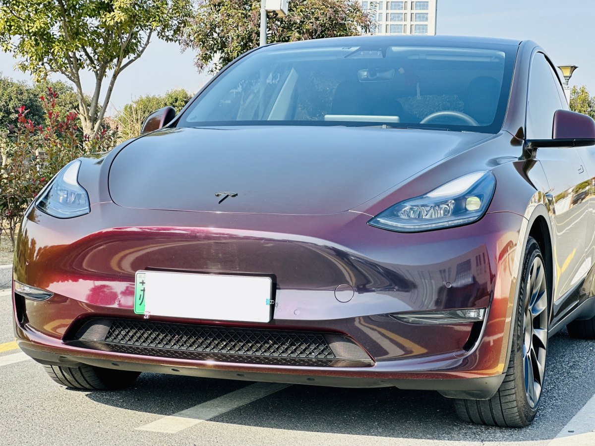 特斯拉 Model 3  2021款 改款 Performance高性能全輪驅(qū)動(dòng)版圖片