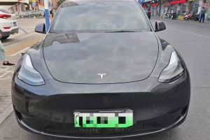Model Y 特斯拉 Performance高性能版